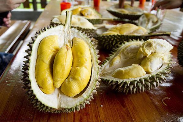 Penang Durian Festival 2017