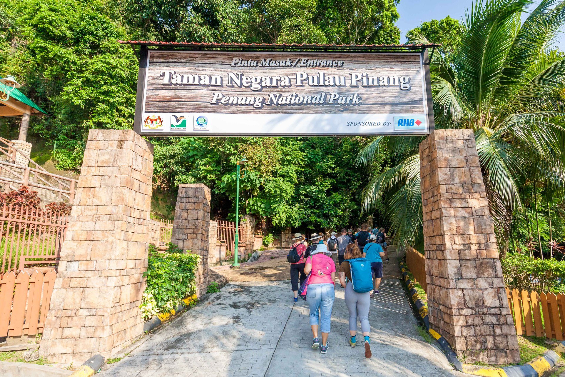 Morning at the Penang National Park - Penang Events